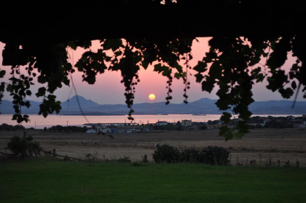 Daire Panorama